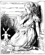 alice-t05.gif