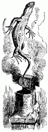 alice-t12.gif